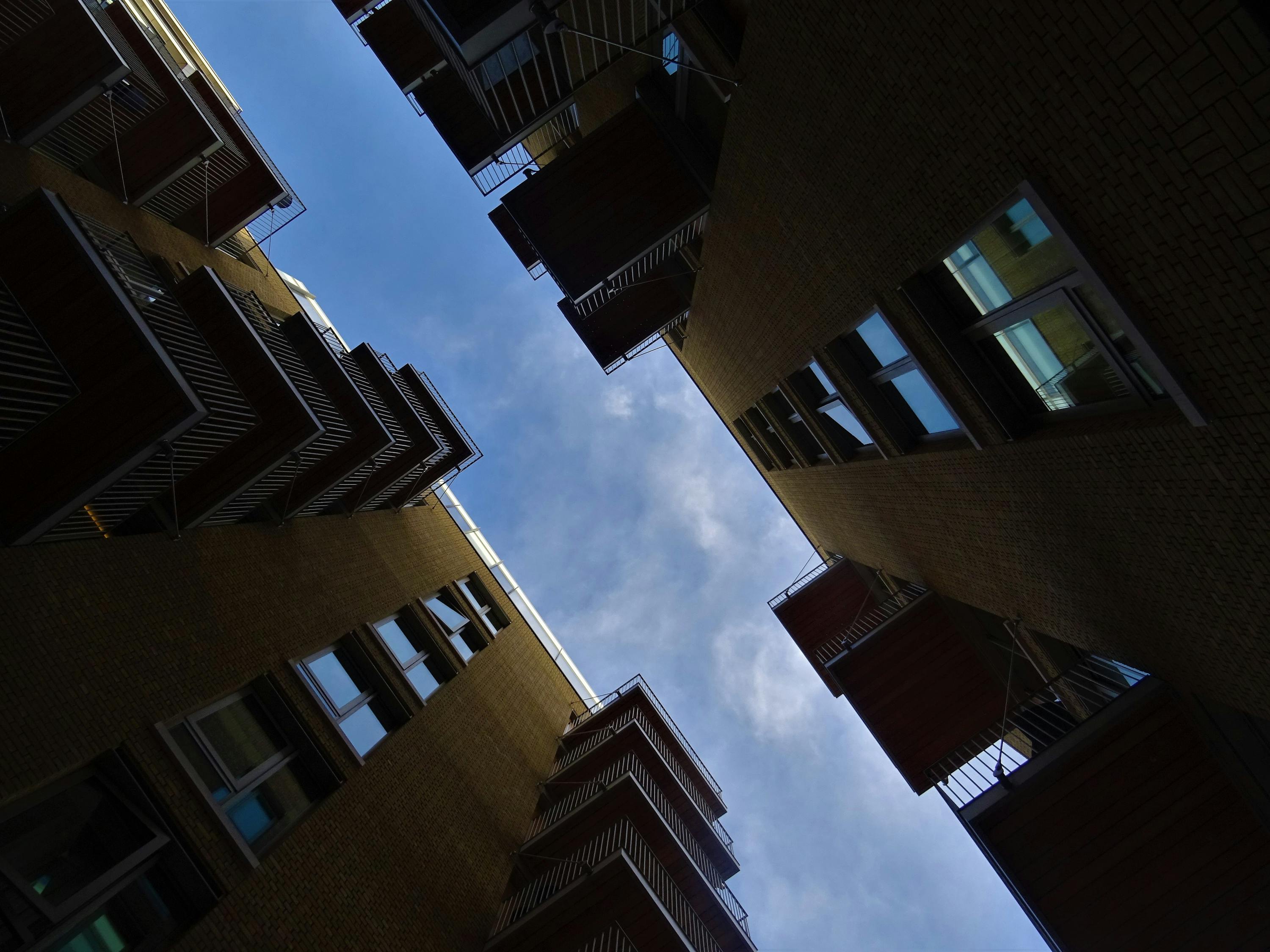 入住千万精装房后业主每天抓虫子