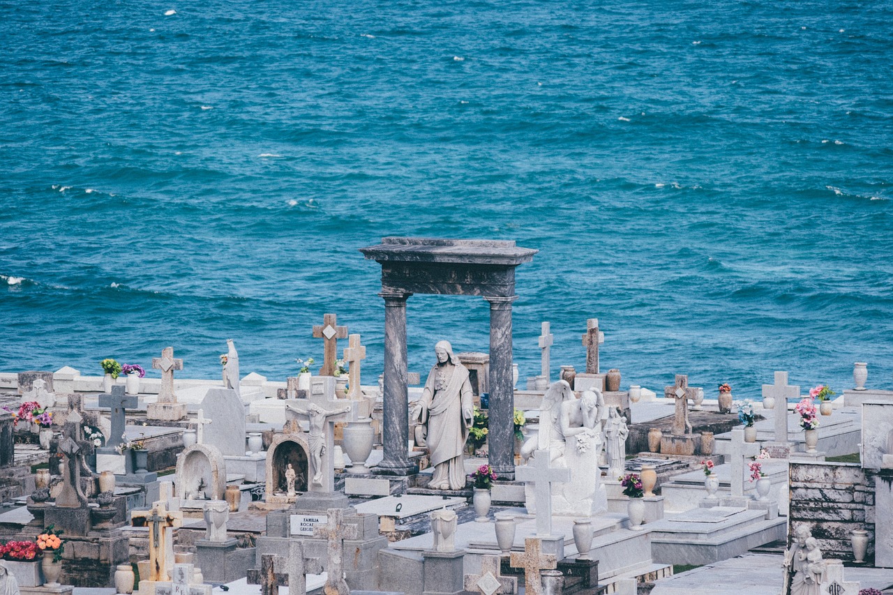 上海疫情新动态，新增死亡7例，本土病例228+1259深度解析