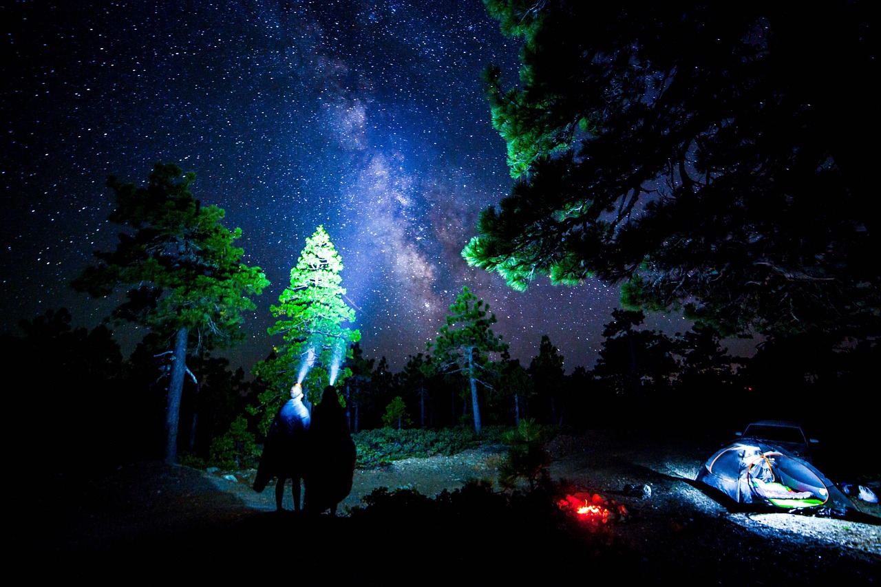 探索星辰大海，星星加速官方下载最新版全解析